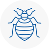 Bed Bug Extermination In Rush Green