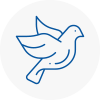 Bird Prevention Rush Green