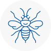 Rush Green Hornet Nest Removals
