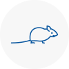 Mice Exterminators In Rush Green