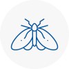 Moth Control Specialists In Rush Green