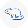 Rat Control Rush Green