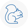 Rush Green Rodent Removals