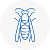 Rush Green Wasp Nest Removal